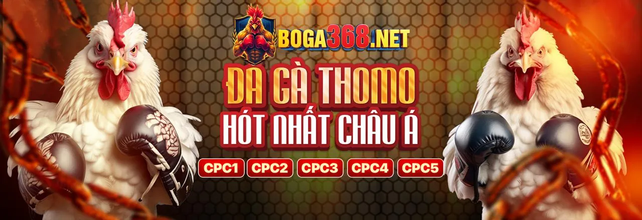 Chương trình hoàn trả bắn cá hàng tuần