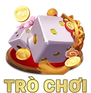 Biểu tượng VIP